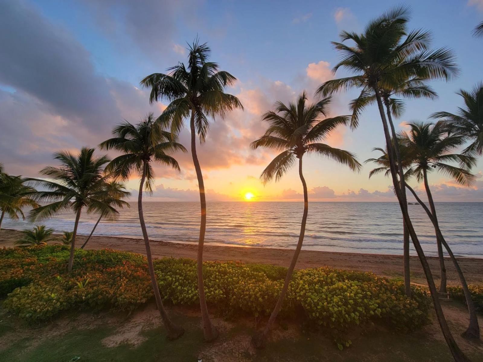 Bv103 - Amazing Oceanfront Condo Steps From Beach อูมาเกา ภายนอก รูปภาพ
